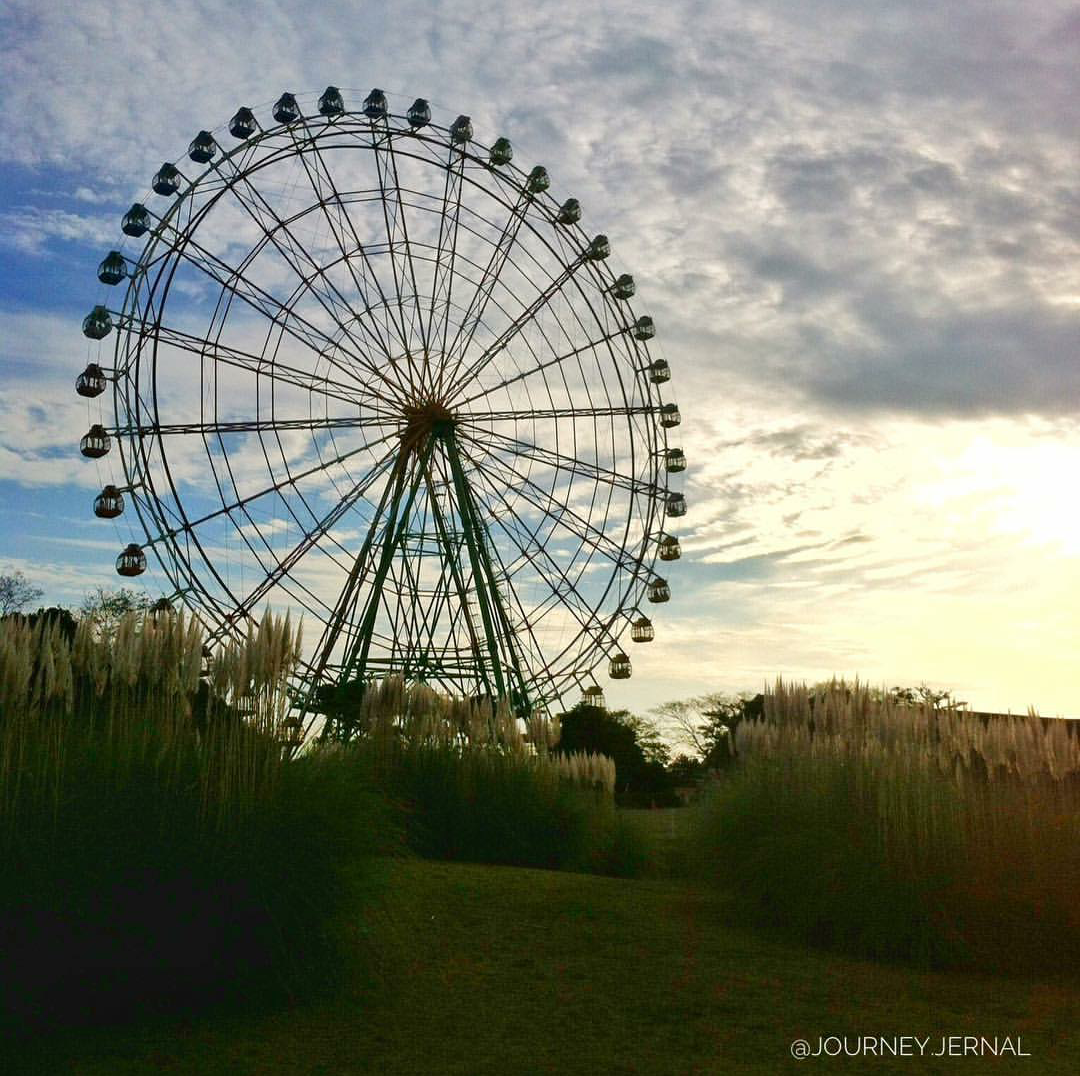 Instagram/journal.jernal A georgeous wheel at Hitachi Seaside Park in Japan.